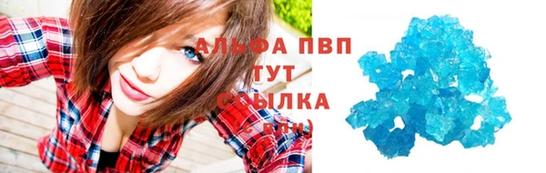 сатива Горнозаводск