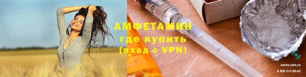 сатива Горнозаводск